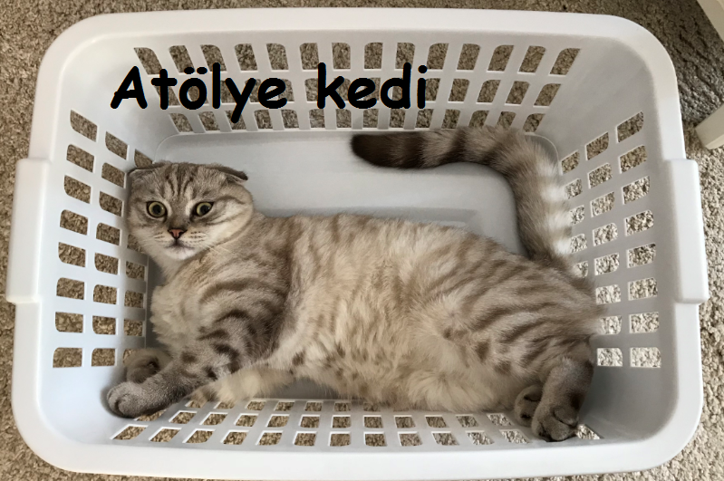 Atölye Kedi Cumadan Pazara…