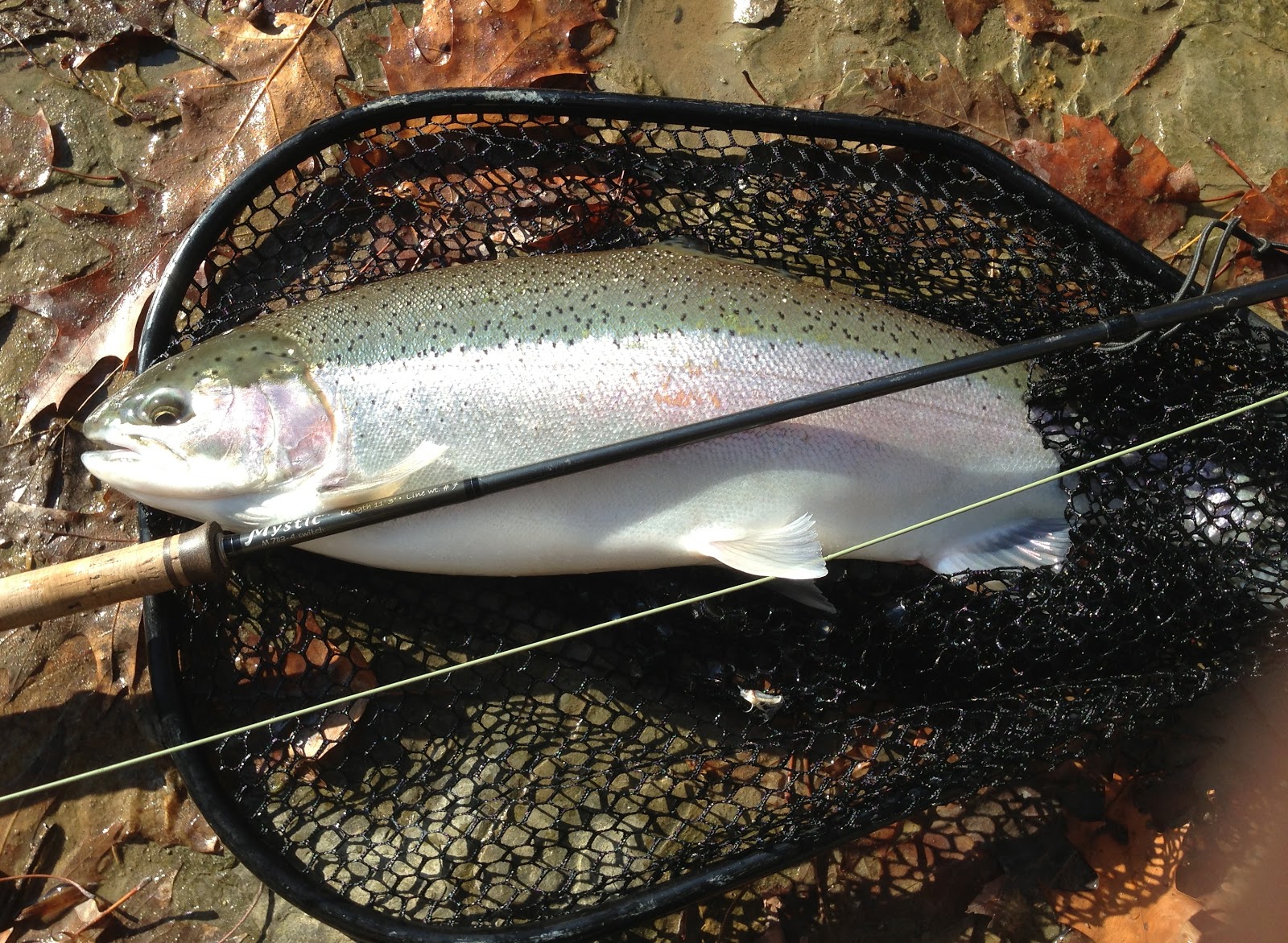 Country Kids on the Fly Fly Tying White Death