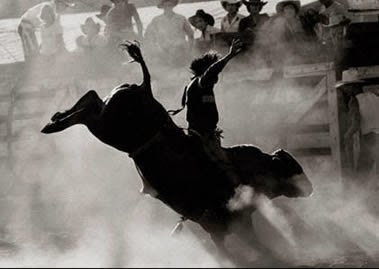 Rodeio (Jogo Hípico) #Rodeio (Jogo Hípico)