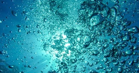  Apa  Urgensi Air  bagi Kehidupan Manusia Hewan  dan 