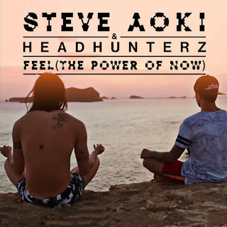 Steve Aoki & Headhunterz - Feel (The Power of Now) (2016) Steve Aoki & Headhunterz - Feel (The Power of Now) on iTunes