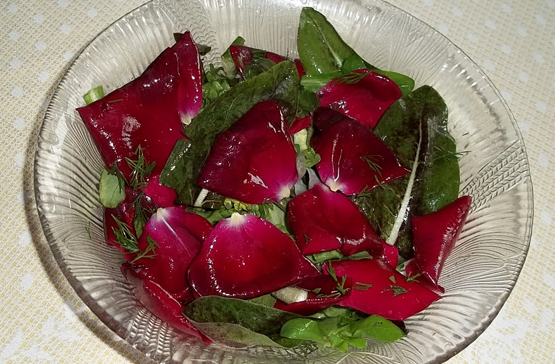 My Cooking and My Garden Roses