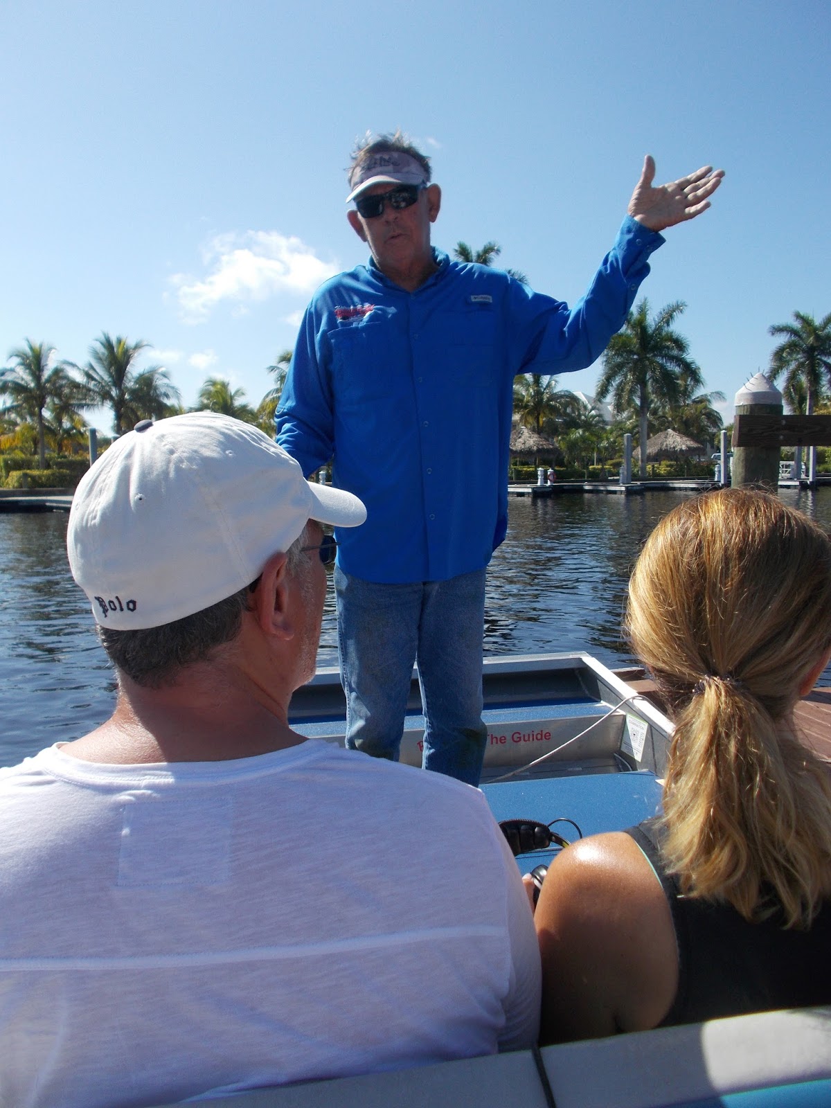 USA 2017 Florida Holiday Alligators and Mangroves