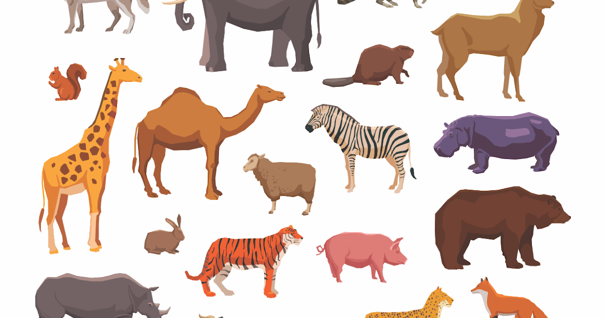 87+ Gambar Hewan Yang Bisa Di Print Terbaru - Gambar Hewan