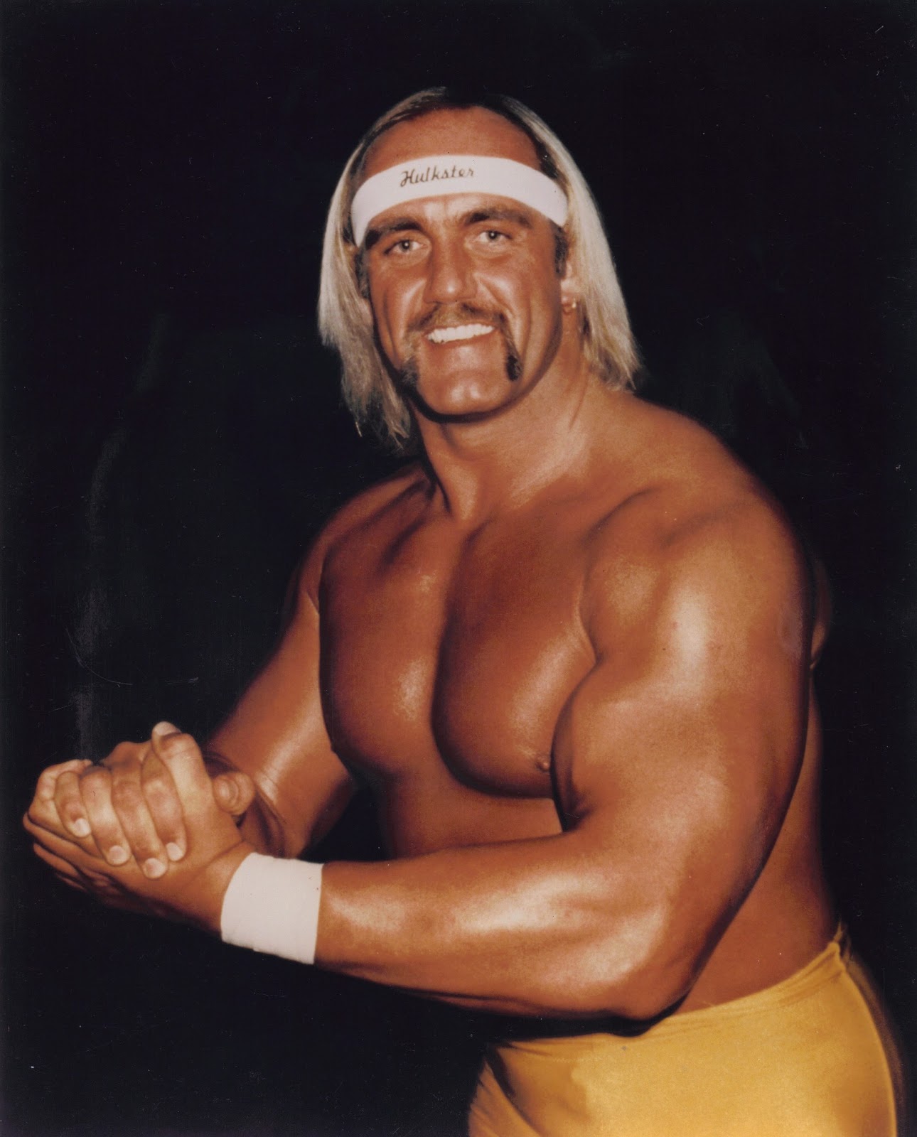 Hulk Hogan Wallpapers 2013 - Download Free Wallpapers For Desktop