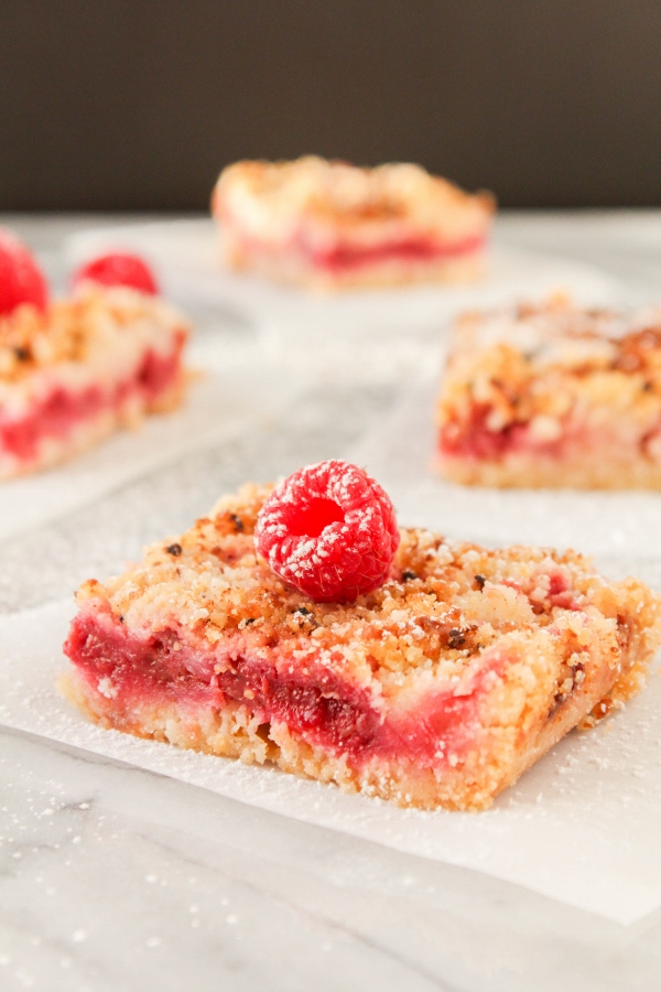 Celebrate spring with these delicious Raspberry Crumb Bars! This easy to make dessert has a buttery crust and topping, with plenty of fresh raspberries in between, and gets finished off with a dusting of powdered sugar. Dessert perfection!