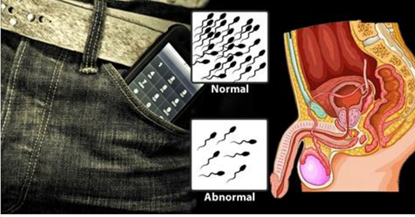 Can Mobile Phones Be The Cause Of A Lowered Sperm Count?