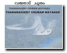 THAMARASSERY CHURAM WAYANAD