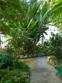 Centennial Park Conservatory tropical house path by garden muses-not another Toronto gardening blog