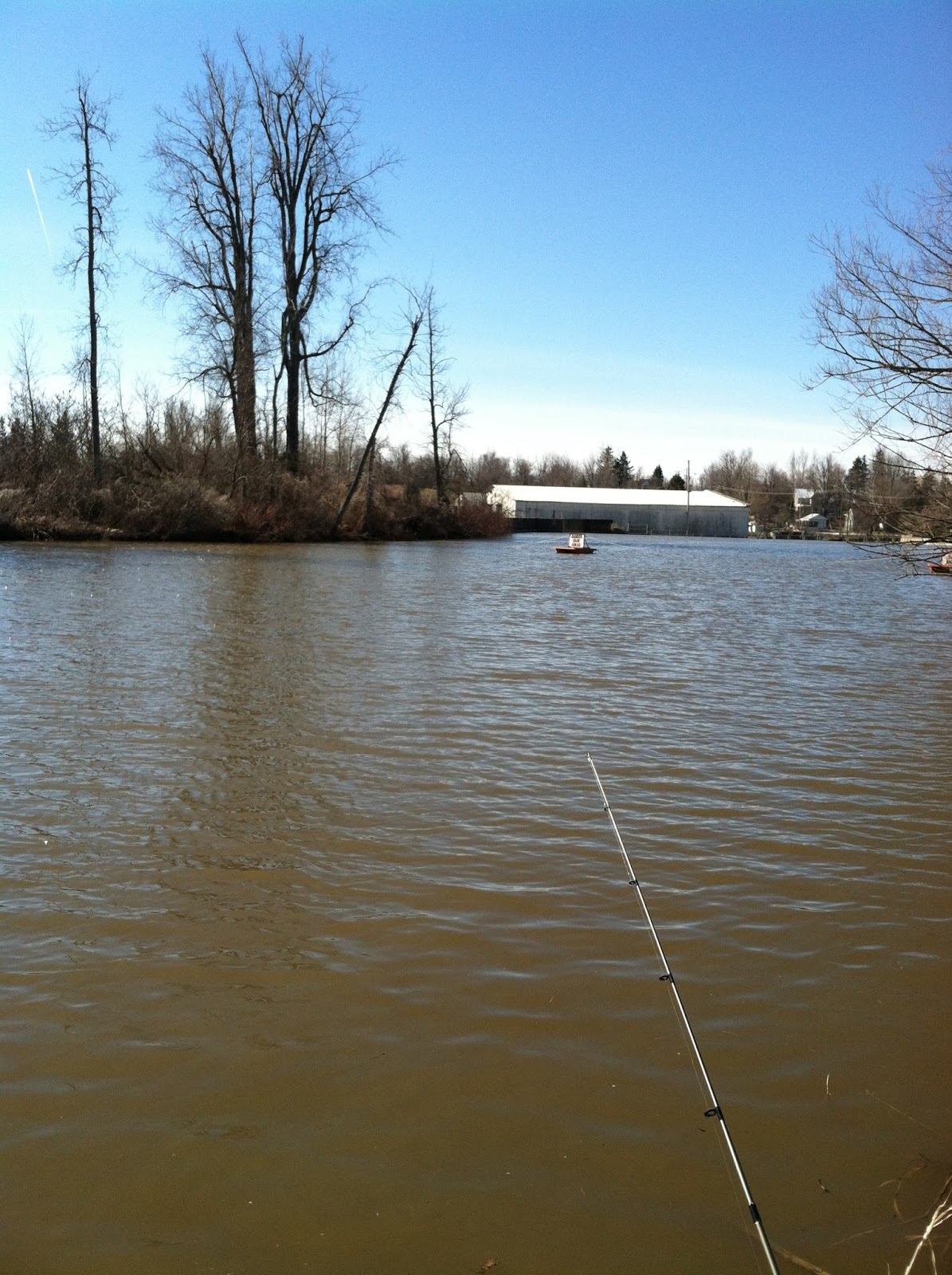 Dispatches From The North Country The Black River Dexter New York