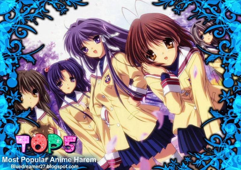 TOP FIVE: TOP FIVE MOST POPULAR HAREM ANIME