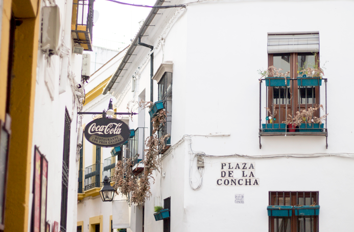 córdoba fotografía spain