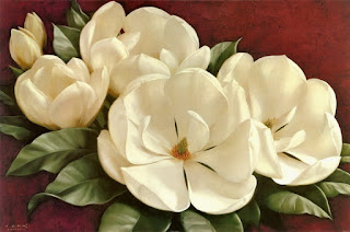 flores-blancas-pinturas