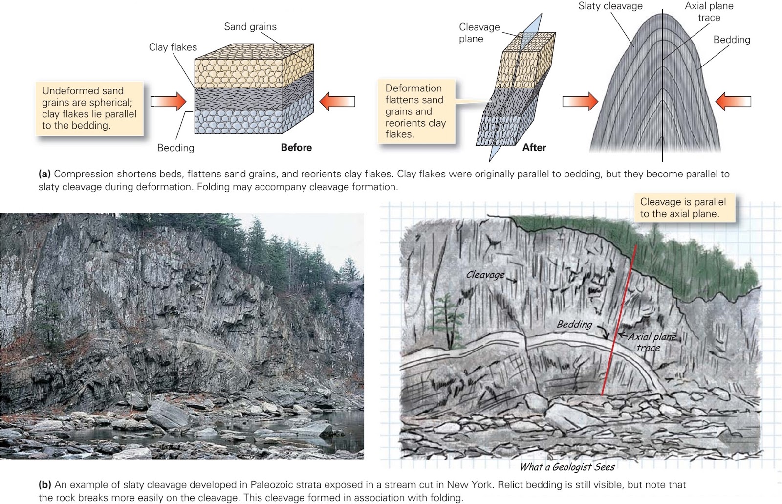 Cleavage development ~ Learning Geology
