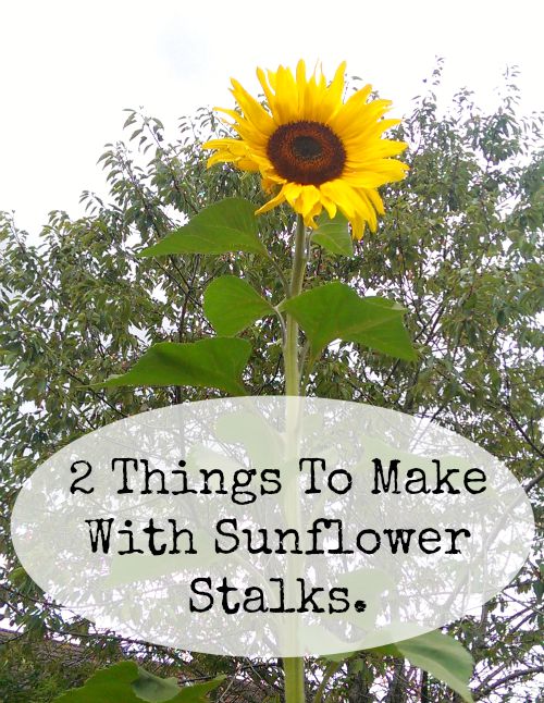 The Dress Tree Make Do and Mend Sunflower Stalks