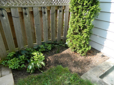 Riverdale backyard Toronto fall cleanup after by Paul Jung Gardening Services Riverdale backyard Toronto fall cleanup after by Paul Jung Gardening Services