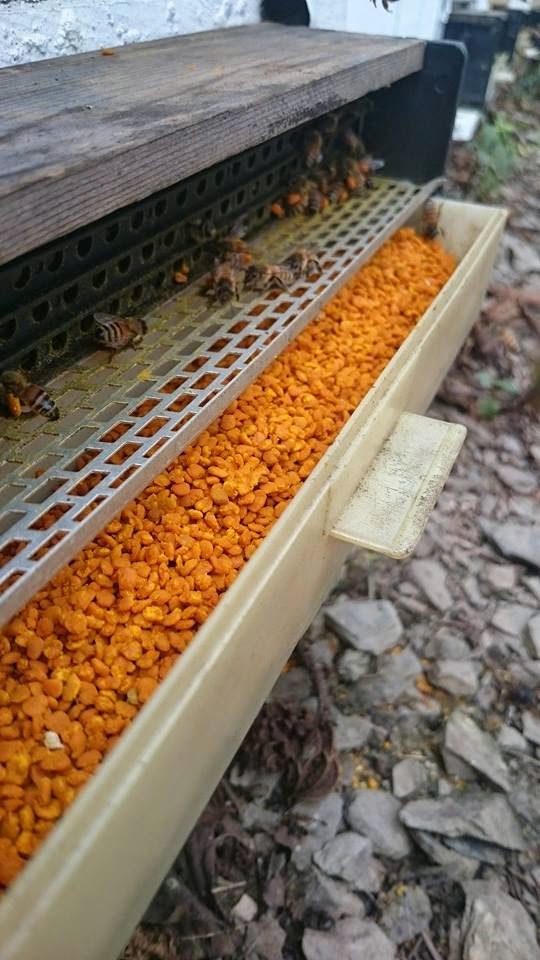 French wildlife and beekeeping Pollen supplements and pollen traps.
