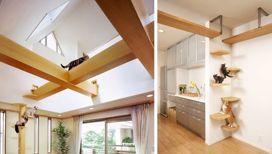 AMARRADINHO EM VOCÊ: DECORAÇÃO E CUIDADOS COM OS ANIMAIS DENTRO DE CASA