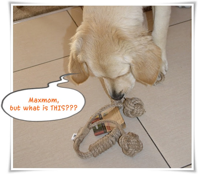 LIVING LIFE TO THE MAX LUCKY DOG'S GIFT SERVICES " AUGUST" BOX