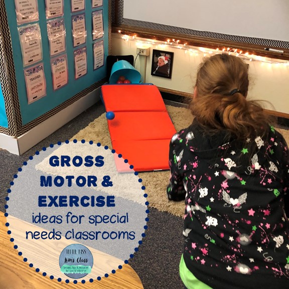 Little Miss Kim's Class Gross Motor/ Exercise Ideas for Special Needs