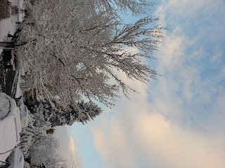 Snow and Sky