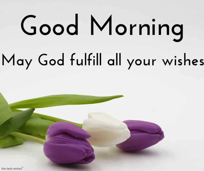 beautiful good morning images