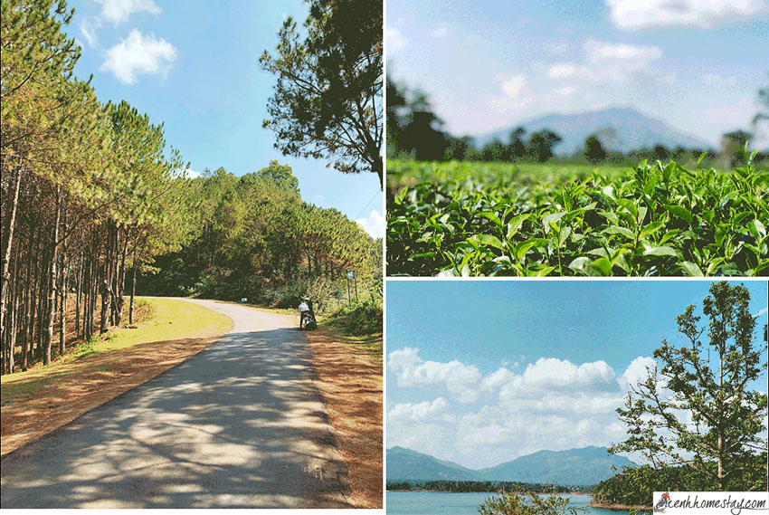 Kinh nghiệm phượt bụi, du lịch Kon Tum tự túc chi tiết từ A-Z