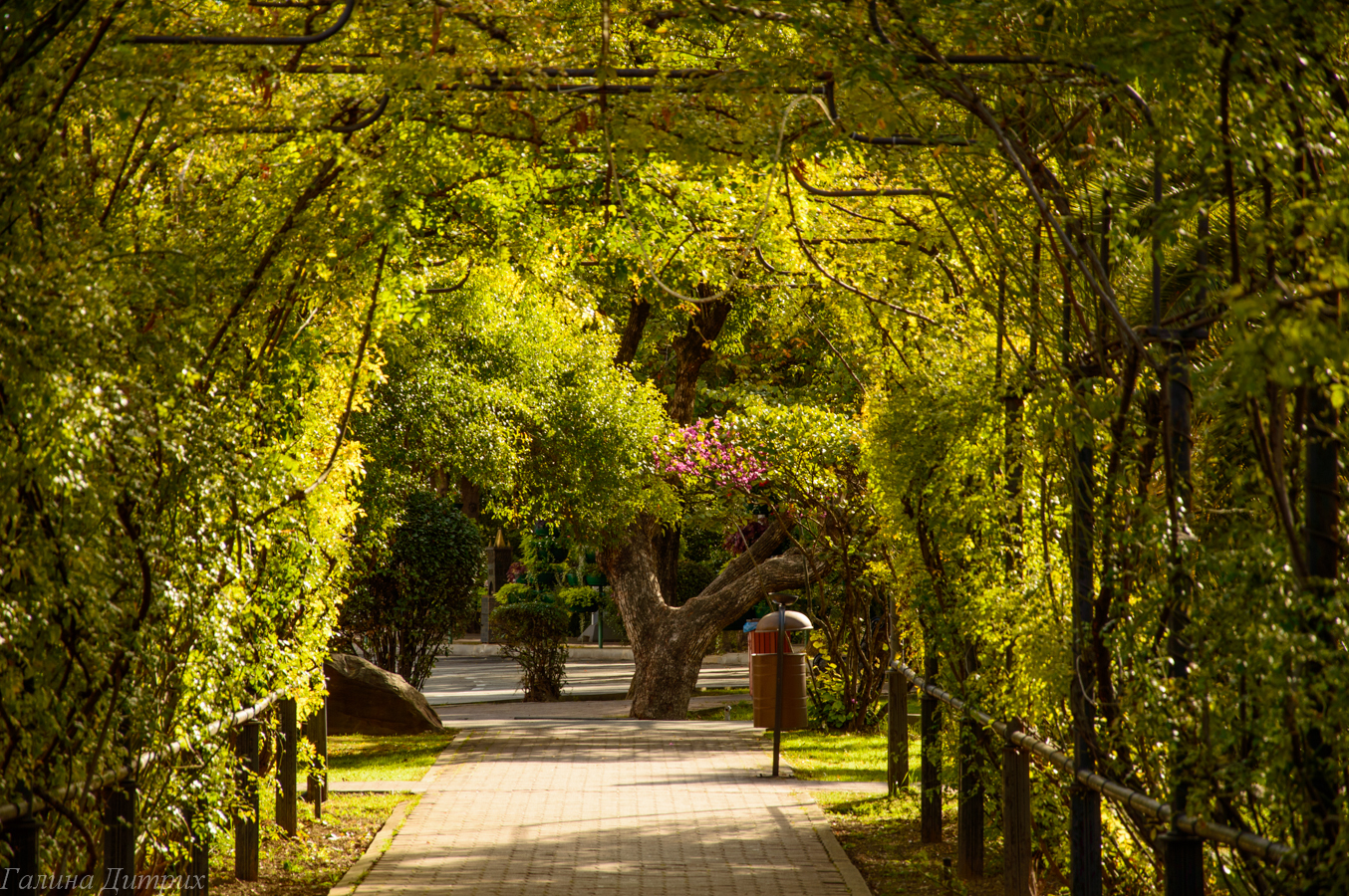 Ботанический парк дендрарий