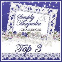 Top 3 Simply Magnolia " Anything Goes "