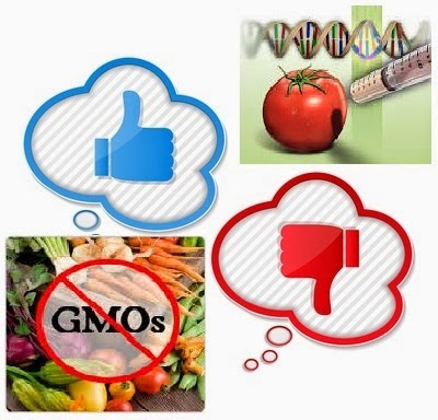 Genetically Modified Food Pros Cons