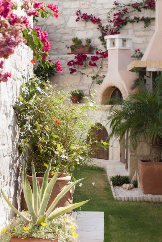 10 Garden Ideas to Steal from Greece via Gardenista ©Eleni Psyllaki