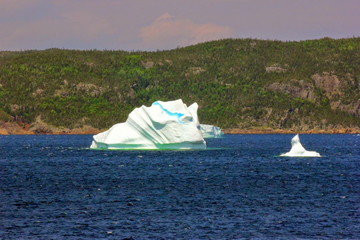 Keith Nicol Adventures More icebergs in Cottrell’s Cove and Brighton