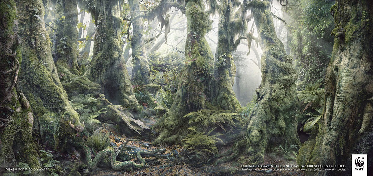 06-Anaïs-Boileau-WWF-Marcel-Hidden-Animals-in-the-Rainforest-www-designstack-co