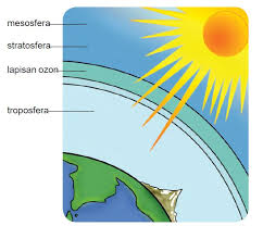 Lapisan ozon diperlukan untuk melindungi bumi dari radiasi sinar ultraviolet. lapisan ozon ini terdapat pada
