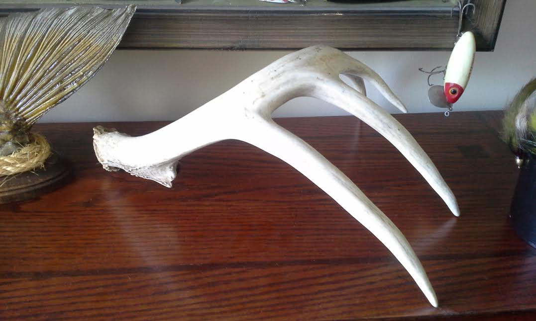 The Show Me Fly Guy Deer Antler Fly Tying Tool Holder