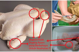 Makan 5 Bagian Ayam Ini Sama Seperti Dengan Menelan Racun! 