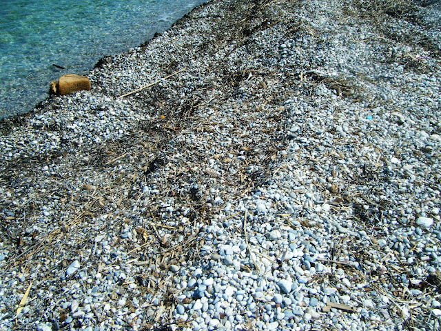 DSCF1039