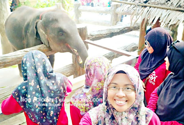 Chang Puak Camp, Hatyai ::: Pengalaman Menggerunkan Bila Naik Gajah !