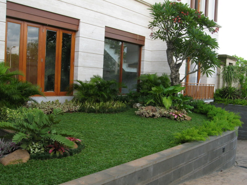 Related : Desain Taman Belakang Rumah Minimalis Cantik