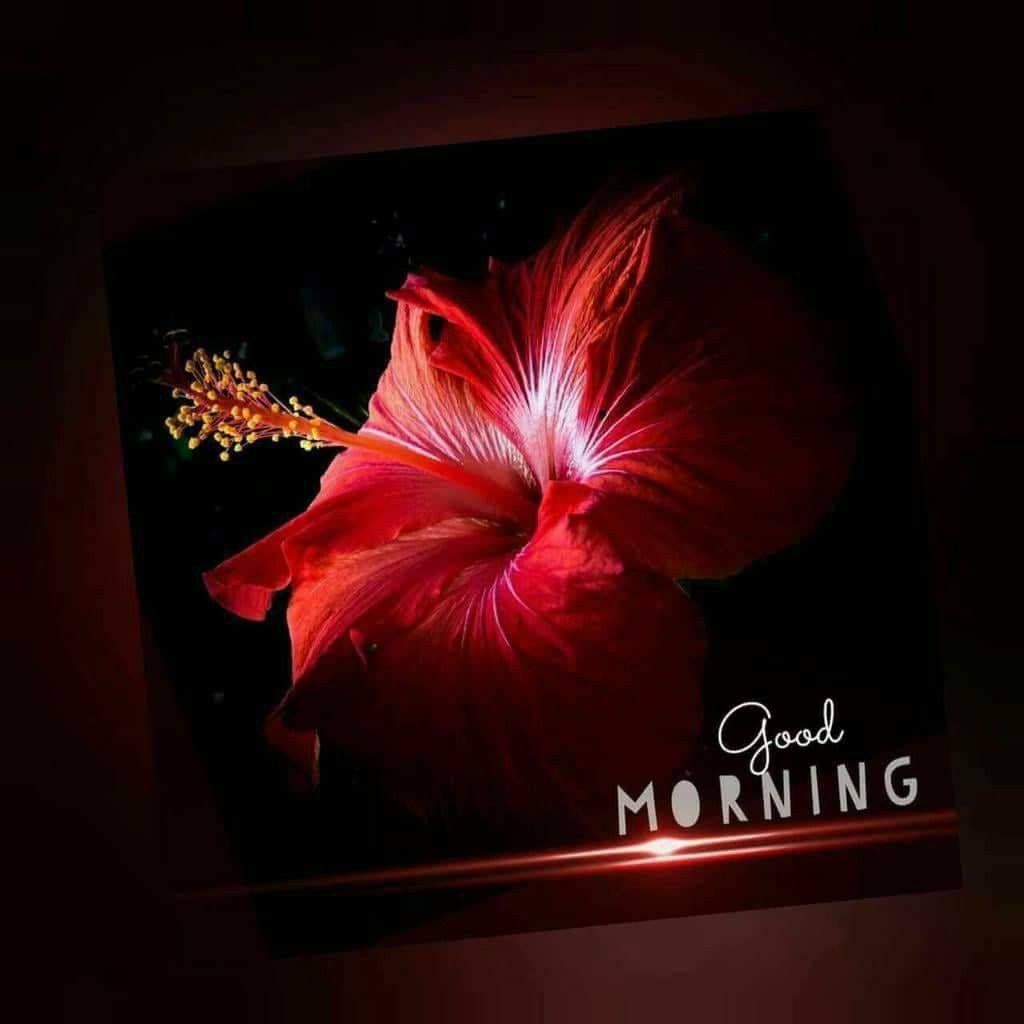 inspirational good morning messages