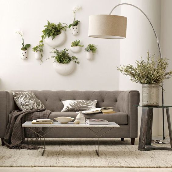 Plantas penduradas em uma sala de estar com sofá cinza