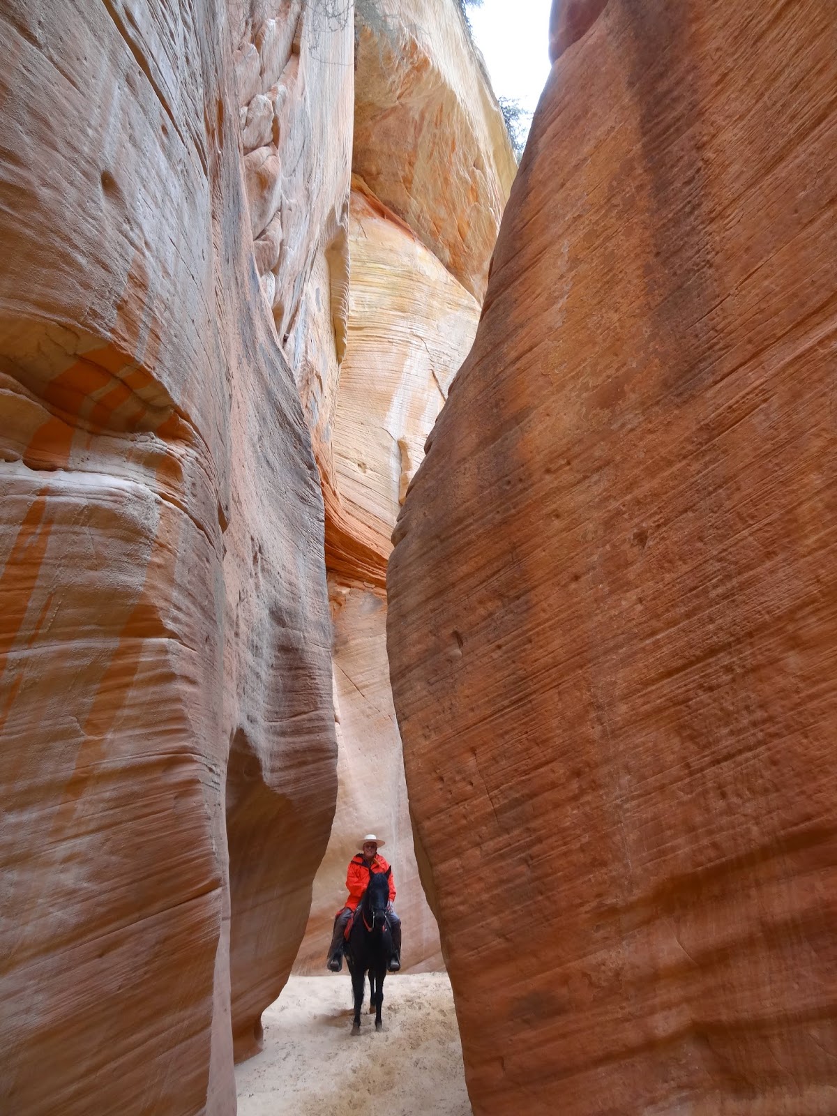Dream Packer Trail Adventures East Fork of the Virgin, Utah