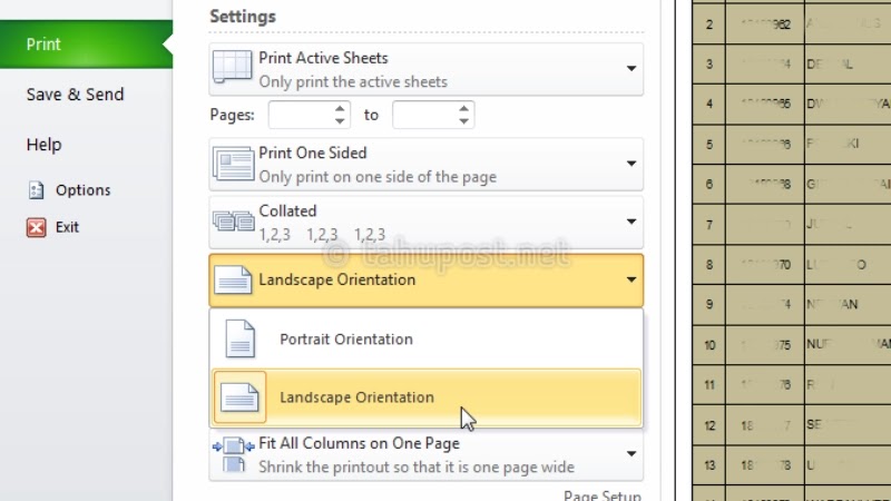 Cara Membuat Worksheet Menjadi Satu Halaman di Excel - Print Excel Hanya Satu Halaman