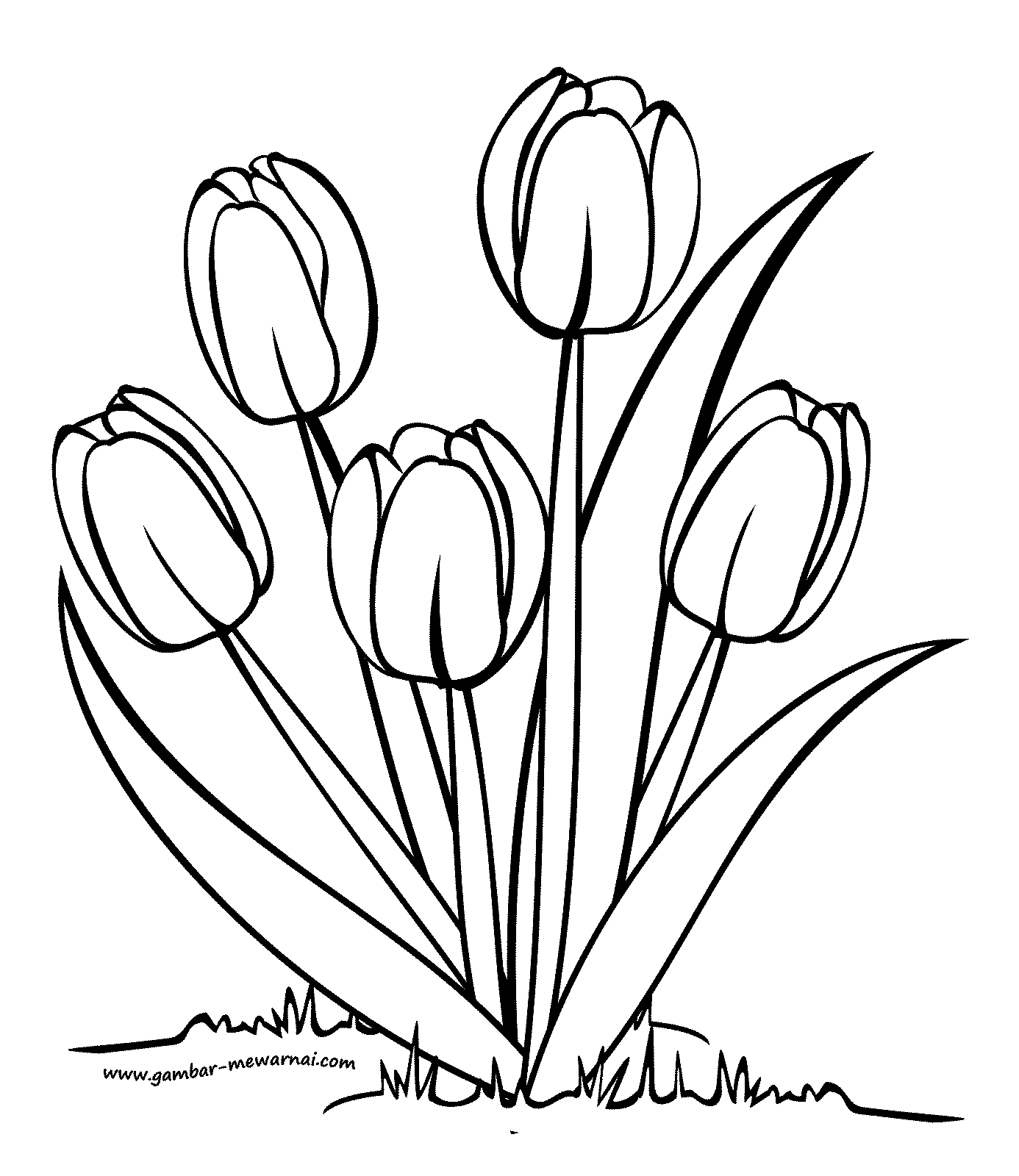 60 Paling Keren Gambar Bunga Tulip Untuk Mewarnai