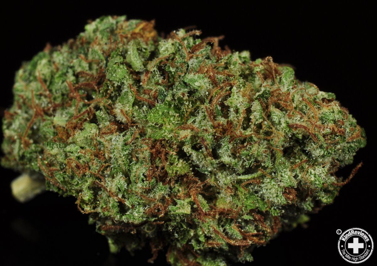 I Love You Mary Jane