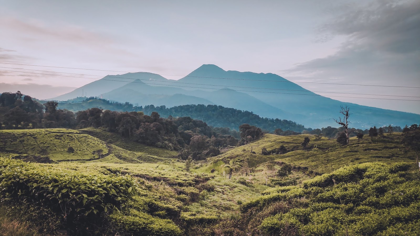 Pendakian Gunung Kencana Bogor 1803MDPL via Telaga Warna
