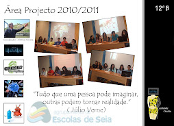 Area Projecto 2010/11