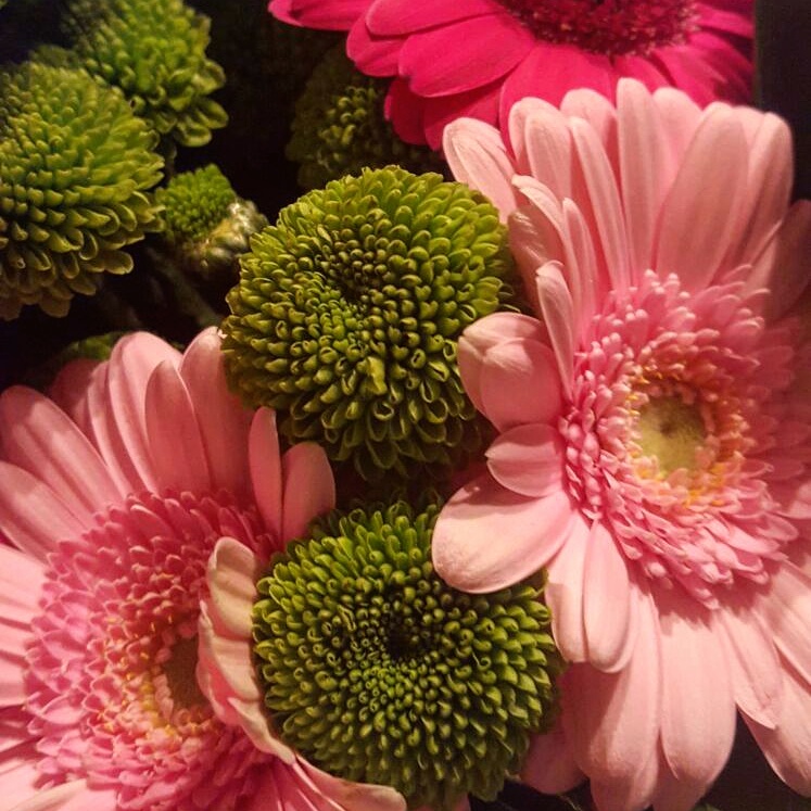 Honeypot Blogs FloraQueen International Flower Delivery Lifestyle