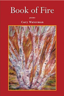 Book Snob: Book of Fire by Cary Waterman