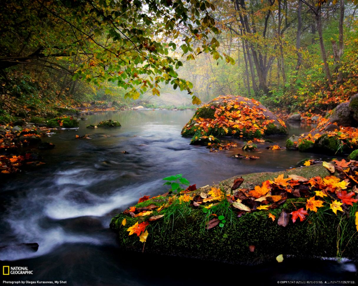 Autumn Landscape Photo Nature Wallpaper – National Geographic